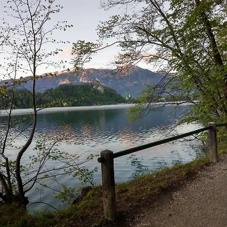 Jacobs Appartement Bled