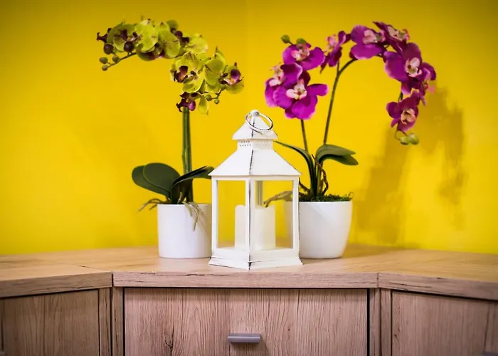 Jacobs Apartamento *