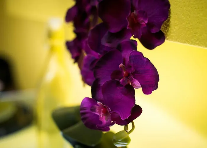 Apartamento Jacobs Bled